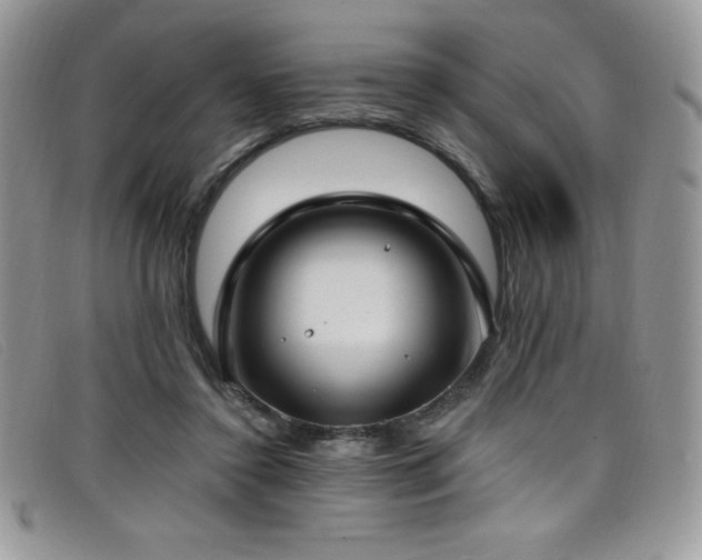 X0000099320356200805021318