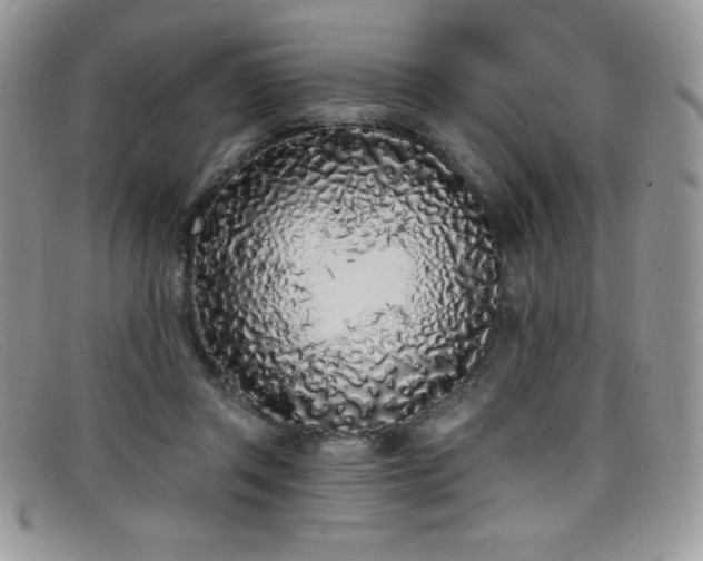 X0000099320357200805021318