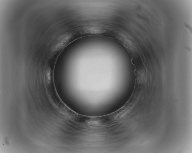 X0000099320358200805021318