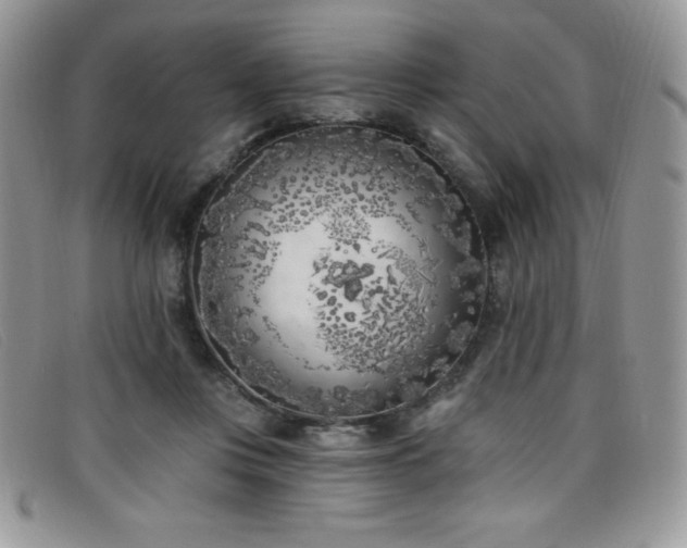 X0000099320359200805021318