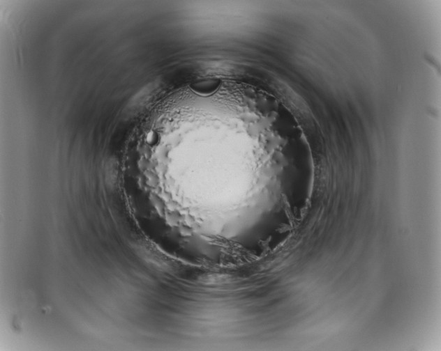 X0000099320361200805021318