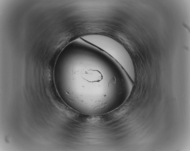 X0000099320362200805021318