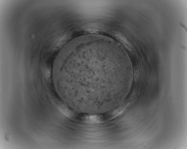 X0000099320365200805021318