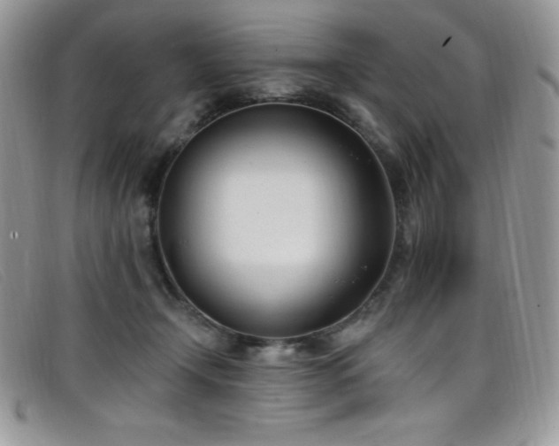 X0000099320366200805021318