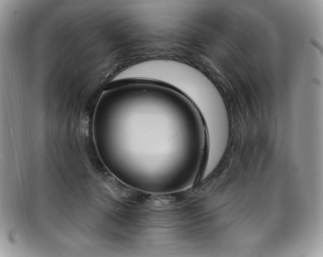 X0000099320368200805021318