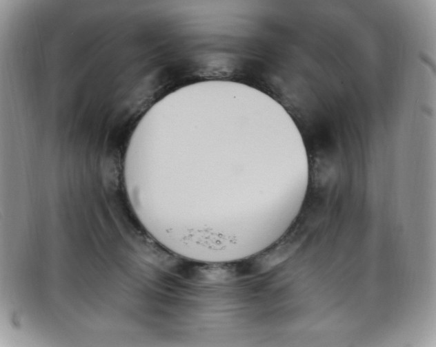 X0000099320370200805021318