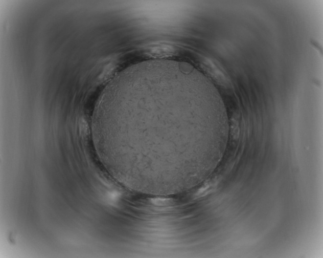 X0000099320371200805021318