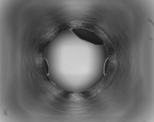 X0000099320372200805021318