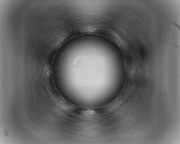 X0000099320374200805021318