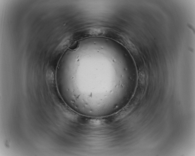 X0000099320375200805021318