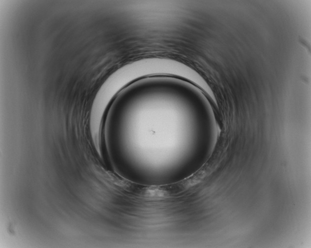 X0000099320376200805021318