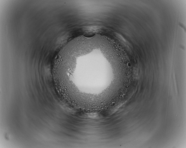 X0000099320377200805021318