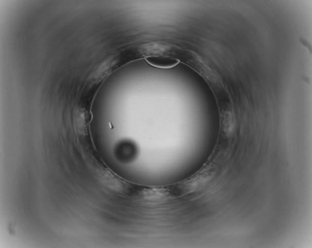 X0000099320378200805021318