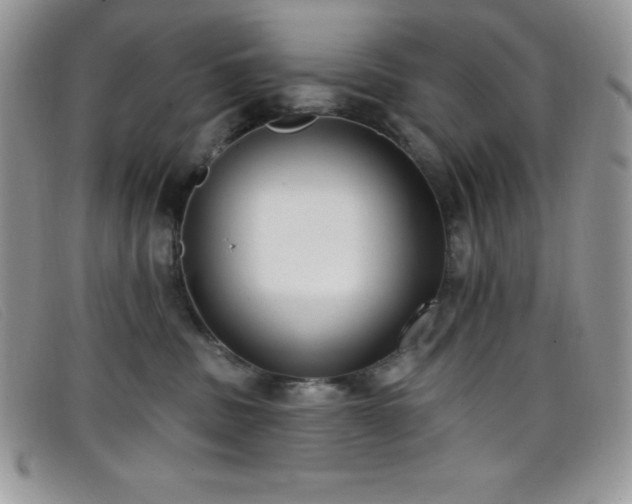 X0000099320379200805021318