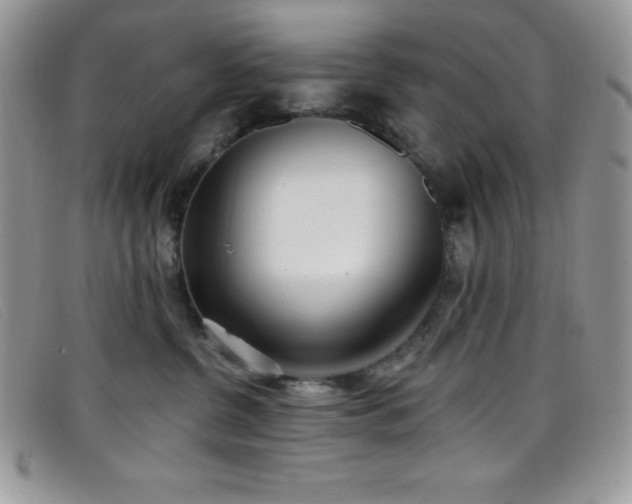 X0000099320380200805021318