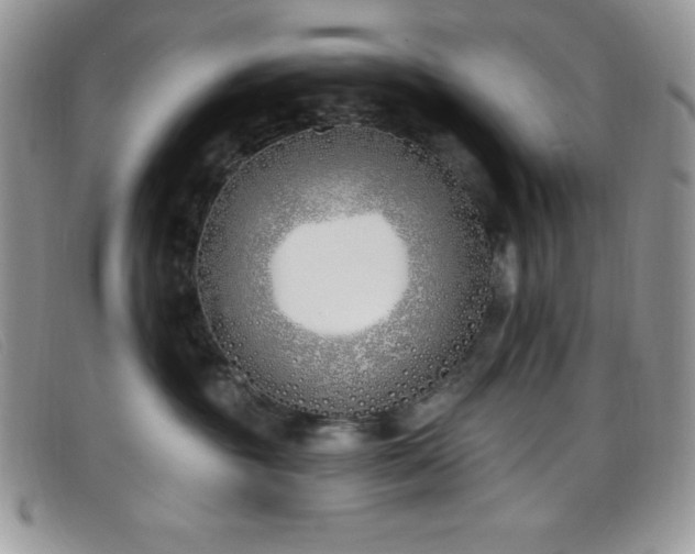 X0000099320381200805021318