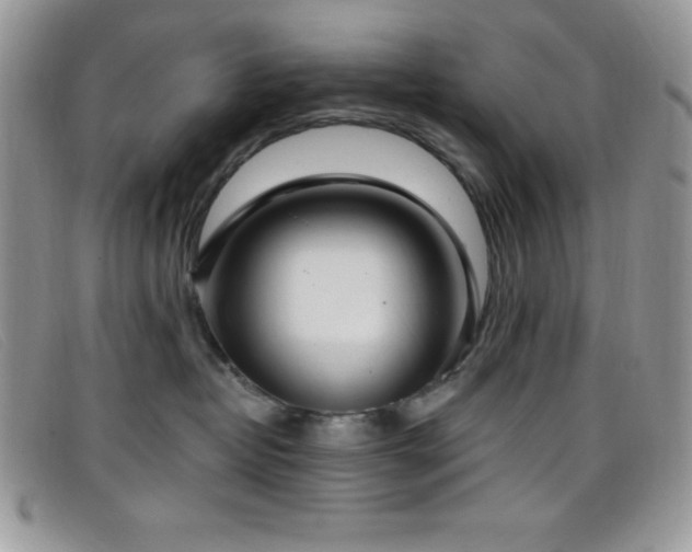 X0000099320382200805021318