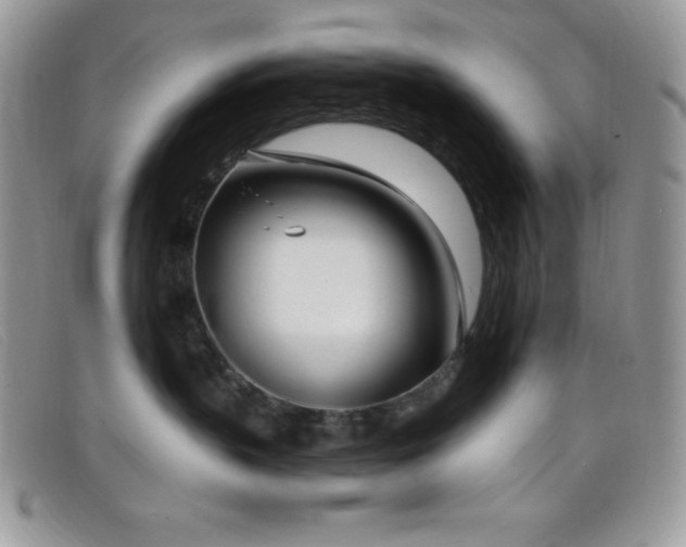 X0000099320383200805021318