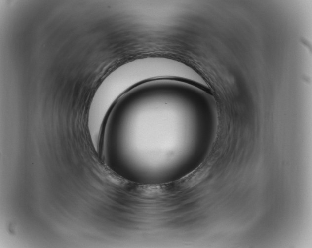 X0000099320384200805021318