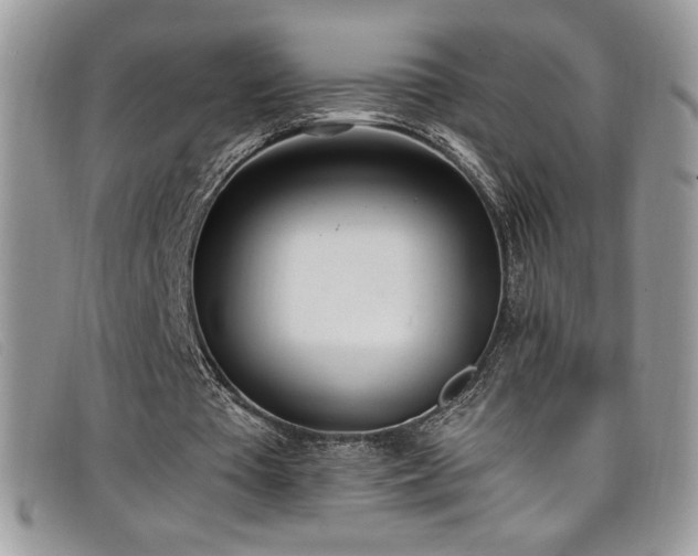 X0000099320385200805021318