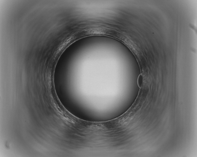 X0000099320386200805021318