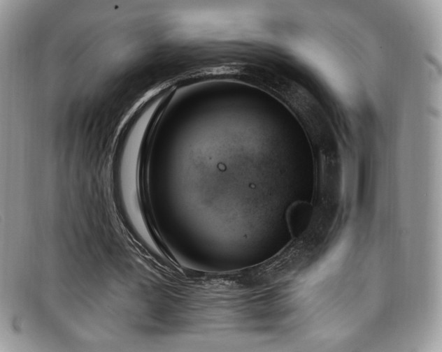 X0000099320387200805021318