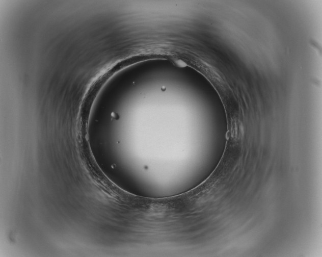 X0000099320388200805021318