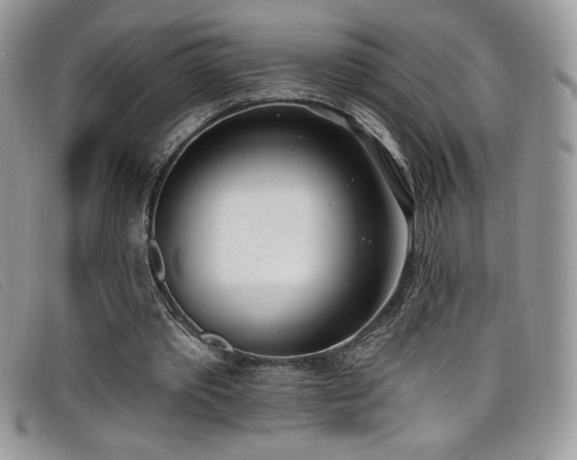 X0000099320389200805021318