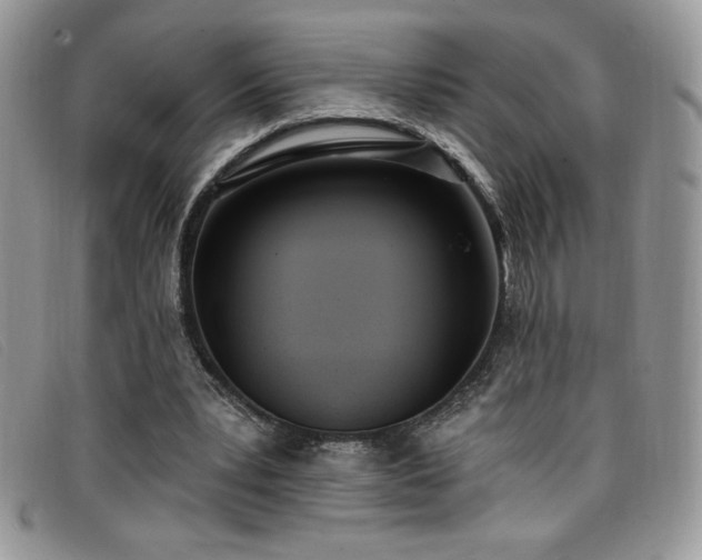 X0000099320391200805021318