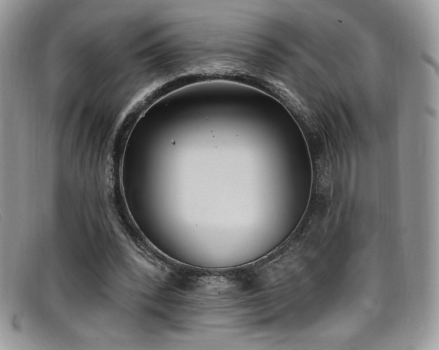 X0000099320392200805021318