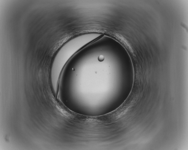 X0000099320393200805021318