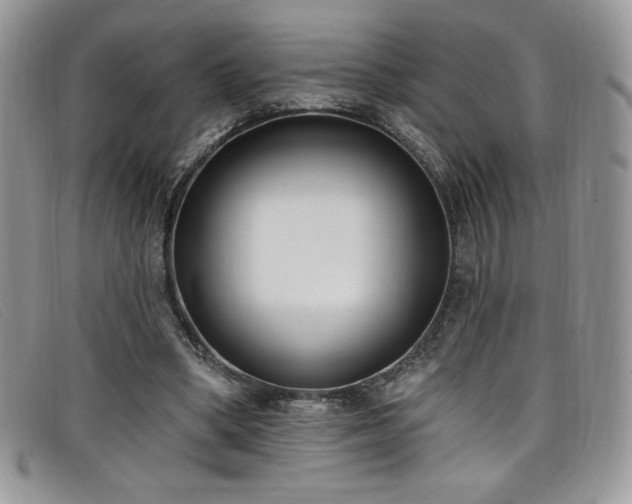 X0000099320394200805021318