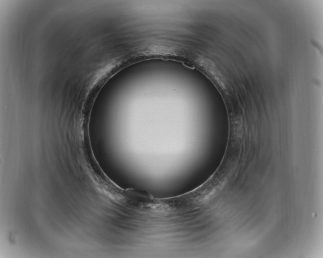 X0000099320395200805021318