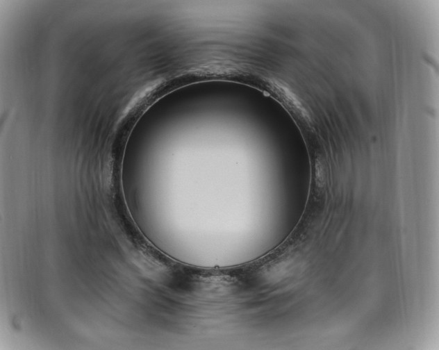 X0000099320396200805021318