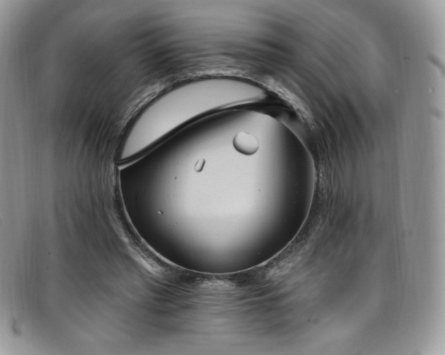 X0000099320397200805021318