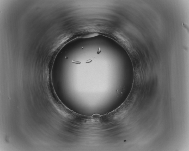 X0000099320398200805021318