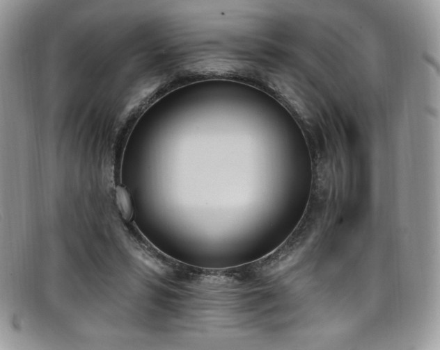 X0000099320399200805021318