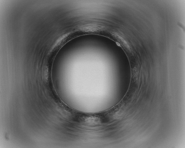 X0000099320400200805021318