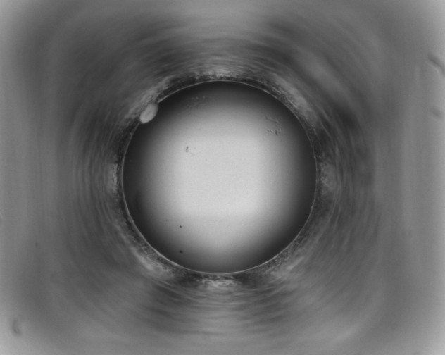 X0000099320401200805021318