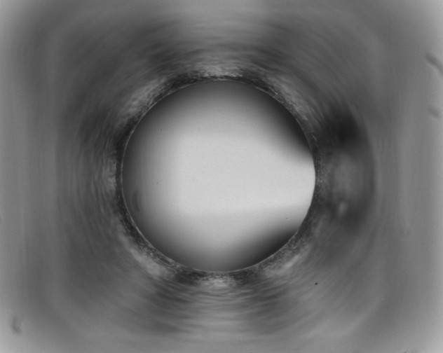 X0000099320402200805021318