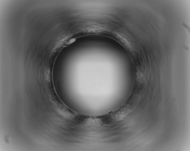 X0000099320403200805021318