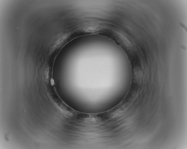 X0000099320404200805021318