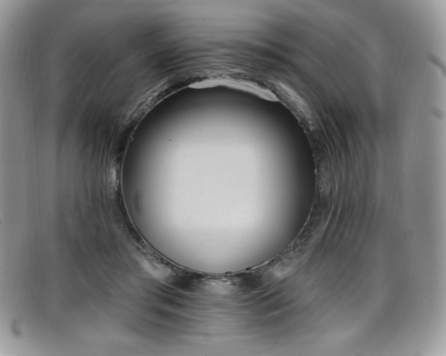 X0000099320405200805021318