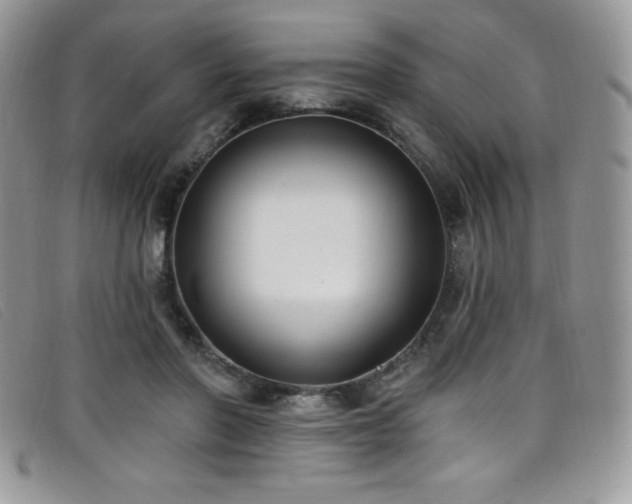 X0000099320406200805021318