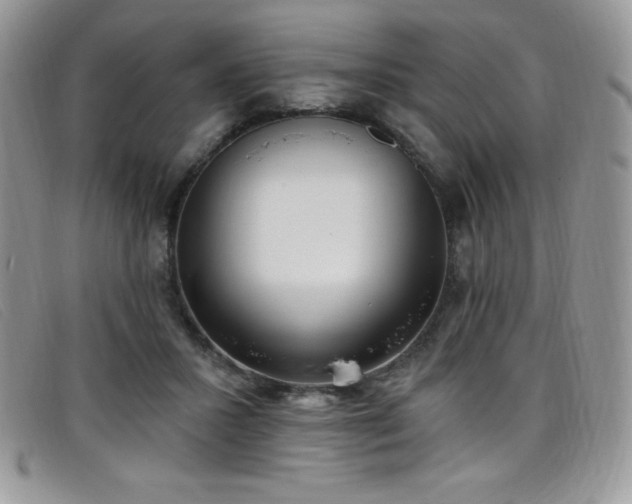 X0000099320407200805021318