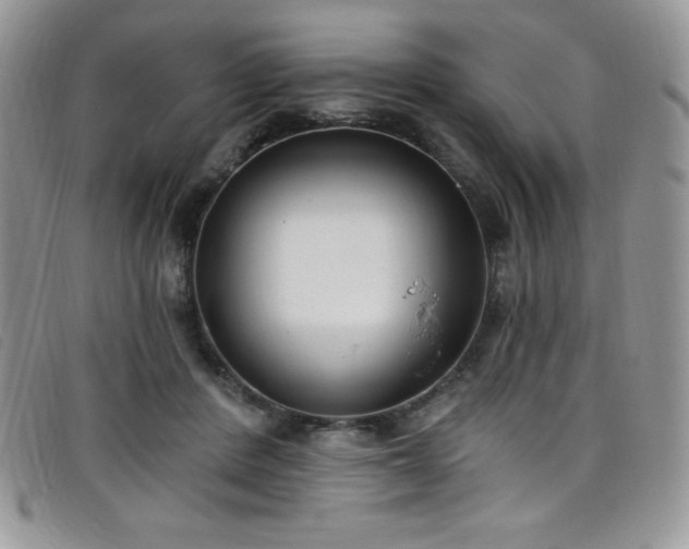 X0000099320408200805021317