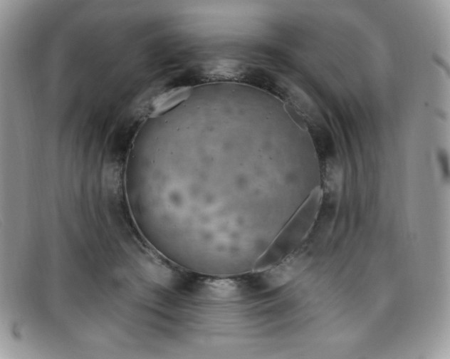 X0000099320409200805021317