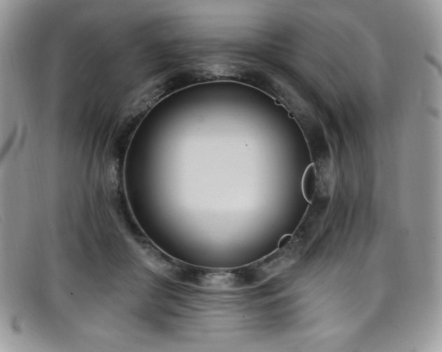 X0000099320410200805021317