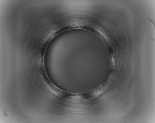 X0000099320411200805021317