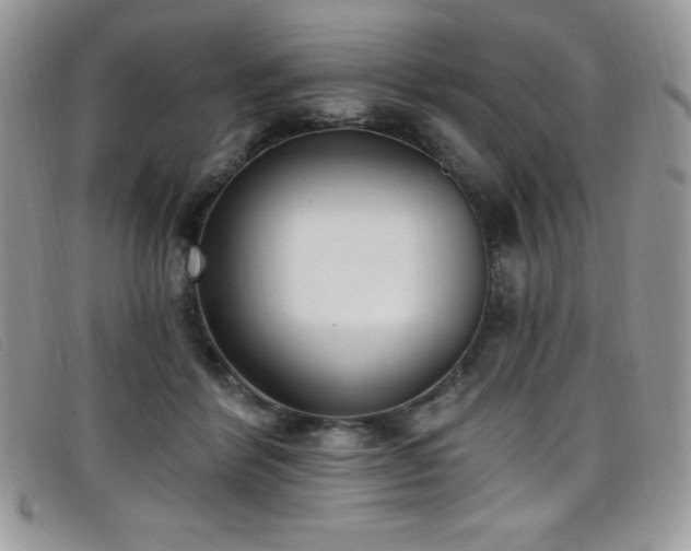 X0000099320412200805021317